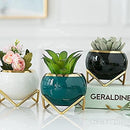 POTS FOR PLANTS