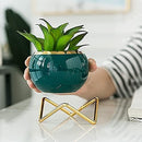 POTS FOR PLANTS