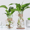 NILOS SMALL VASES FOR CENTERPIECES (RANDOM)