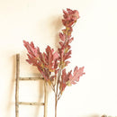 orange oak leaf