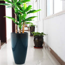 LARGE PLANTS VASE
