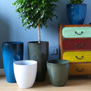 LARGE PLANTS VASE