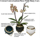 POTS FOR PLANTS