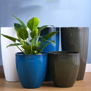 LARGE PLANTS VASE