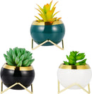 POTS FOR PLANTS