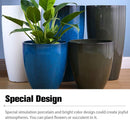 LARGE PLANTS VASE