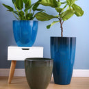 LARGE PLANTS VASE