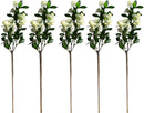 Artificial Thyme