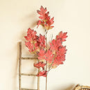 orange oak leaf