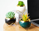 POTS FOR PLANTS