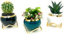 POTS FOR PLANTS
