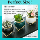 POTS FOR PLANTS