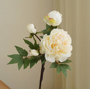 Elegant flowers