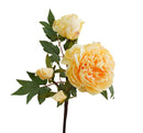 Elegant flowers