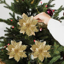 CHRISTMAS FLOWERS