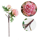 Elegant flowers