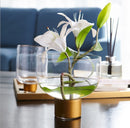 Glass vase