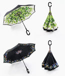 INVERTED UMBRELLA