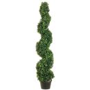 Artificial Spiral Boxwood