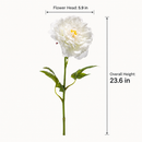 White Real Touch Artificial Peony Stem – Single Faux Flower for Vase