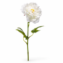 White Real Touch Artificial Peony Stem – Single Faux Flower for Vase