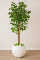 Round White Pot with Matte Finish Plastic