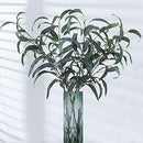 EUCALYPTUS (large leaf)