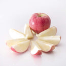 APPLE CUTTER