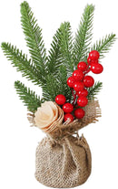 Christmas Tree Potted Plants with Stable