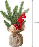 Christmas Tree Potted Plants with Stable