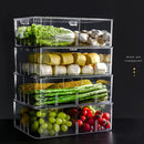 ACRYLIC VEGETABLE STORAGE
