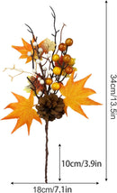 CHRISTMAS FLOWERS__FALL FLOWERS