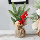 Christmas Tree Potted Plants with Stable