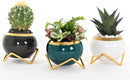 POTS FOR PLANTS