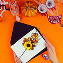 CHRISTMAS FLOWERS__FALL FLOWERS