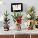 Christmas Tree Potted Plants with Stable