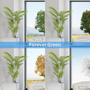 ARTIFICIAL HOWEA PALM