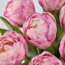 Real Touch Artificial Tulip Bouquet – 7-Stem Faux Double Tulips for Vase