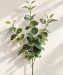 Artificial Eucalyptus Stem