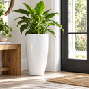 Tall Modern Floor Pot for Indoor Home Decor