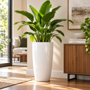 Tall Modern Floor Pot for Indoor Home Decor