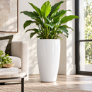 Tall Modern Floor Pot for Indoor Home Decor