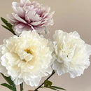 Artificial Peony for Home Decoration