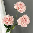 FLORES DE HADAS (AL AZAR)