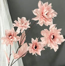 FLORES DE HADAS (AL AZAR)