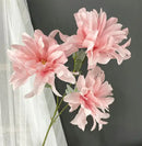 FLORES DE HADAS (AL AZAR)