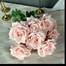 FLORES DE HADAS (AL AZAR)