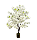 White Cherry blossom Tree