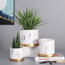 Nordic marble flower pot with tray
