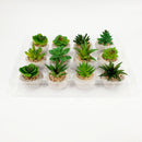 Artificial Decorative Plants